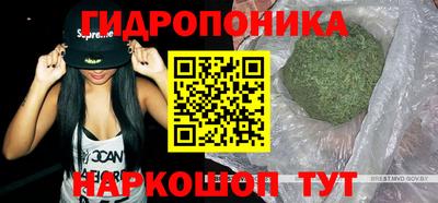 прущий лед Гай