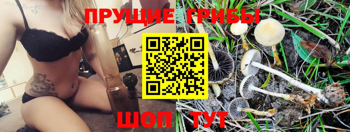 Галлюциногенные грибы GOLDEN TEACHER  Псилоцибиновые грибы GOLDEN TEACHER  Нижнекамск  Вход с VPN 