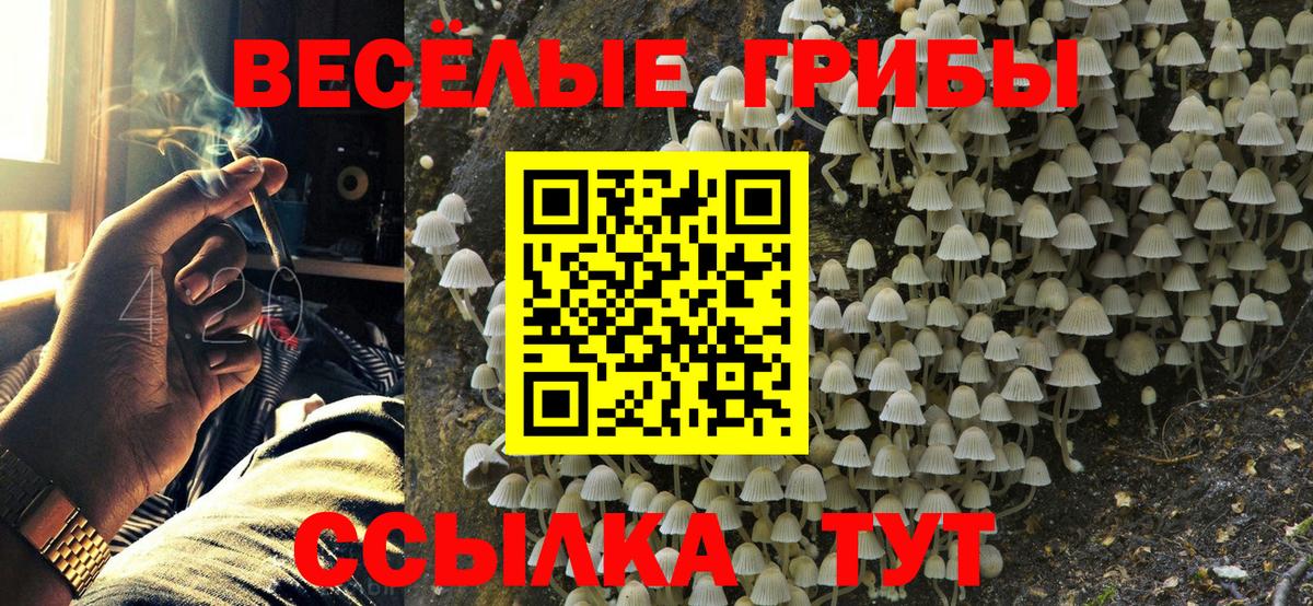 Псилоцибиновые грибы Magic Shrooms Нижнекамск